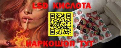 ГАЛЛЮЦИНОГЕННЫЕ ГРИБЫ Кохма